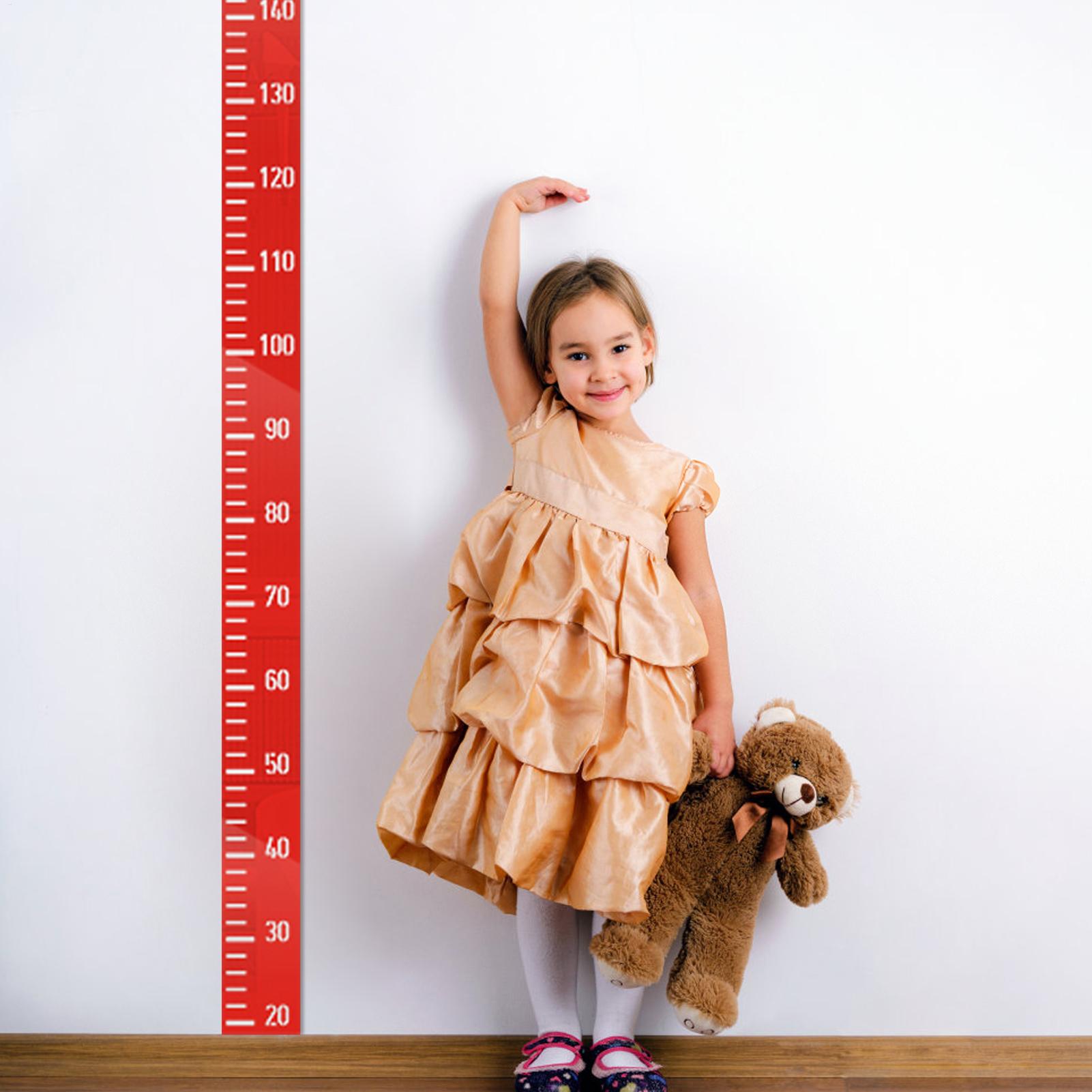 Growth Chart Wall Mirror Heigh - Growth Chart Ruler ulasan dan harga